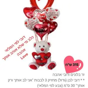 מארז בלונים