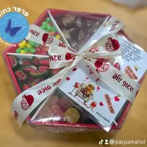 מגש גומי קטן